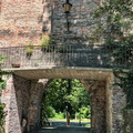 IMG 3893